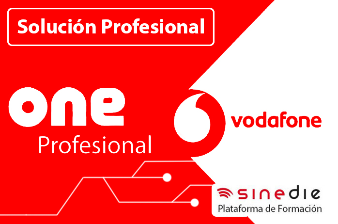 Solución Profesional  Vodafone